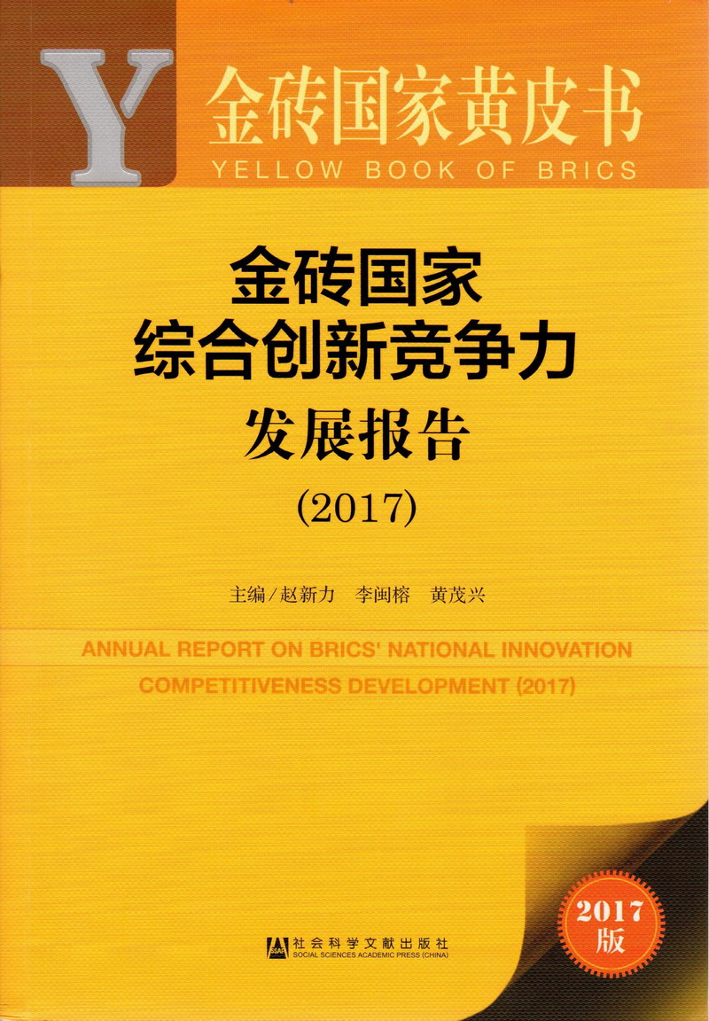 穆斯林胖老太太操逼视频金砖国家综合创新竞争力发展报告（2017）